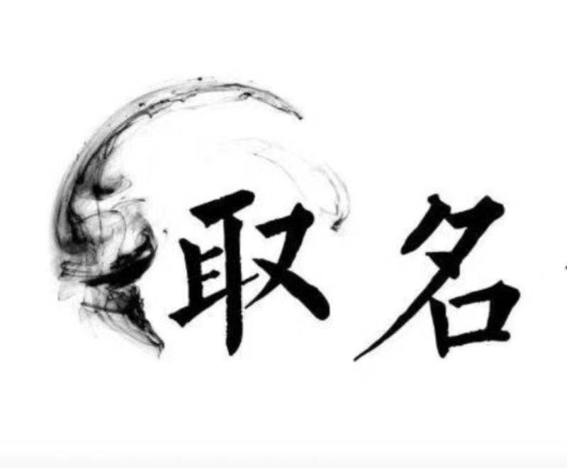  南召宝宝取名 大师一对一人工起名